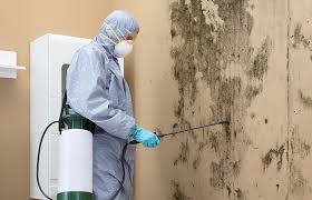 Best Mold Documentation for Insurance Claims in Nixon, PA